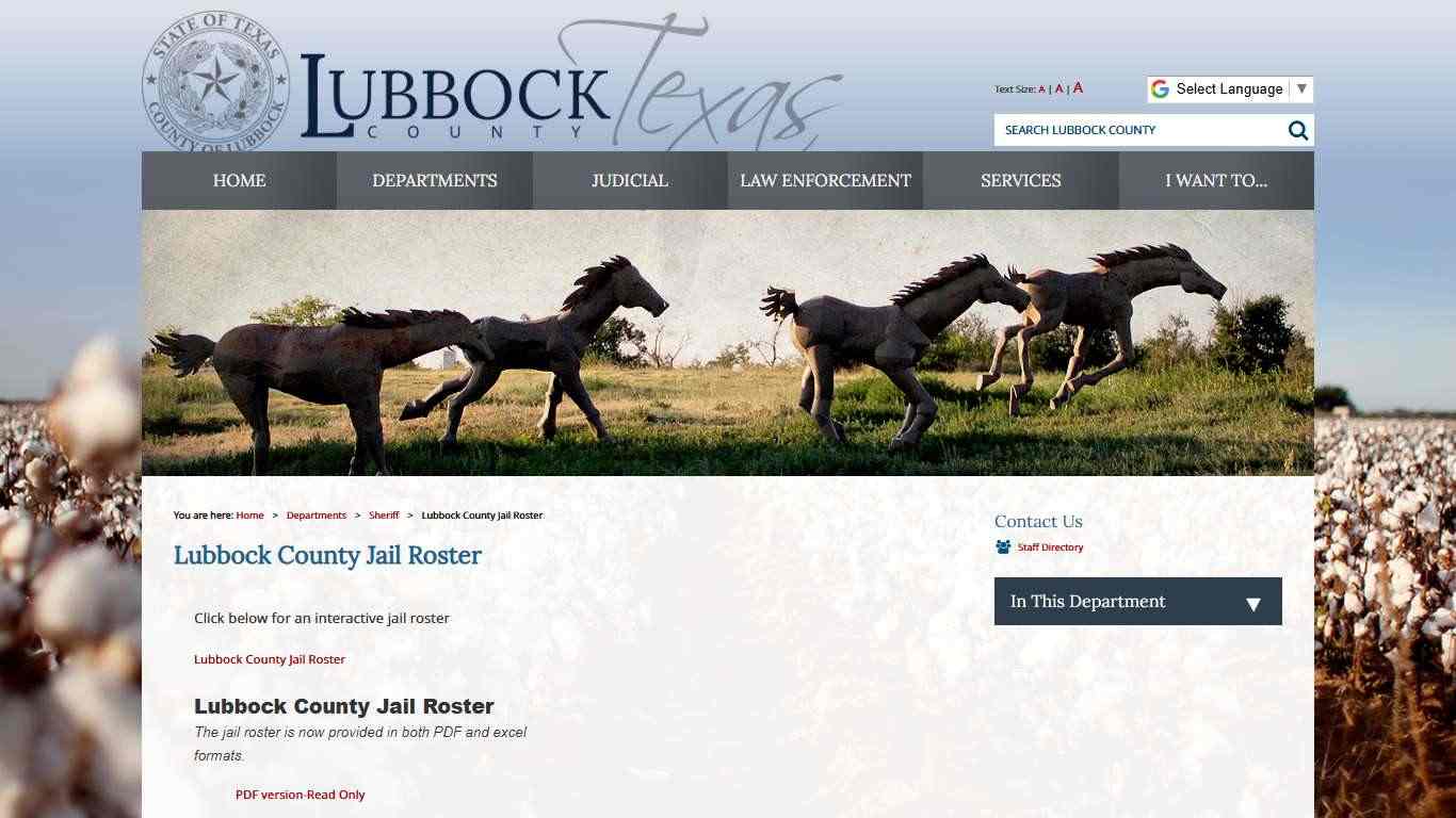 Lubbock County Jail Roster / Lubbock County, Texas